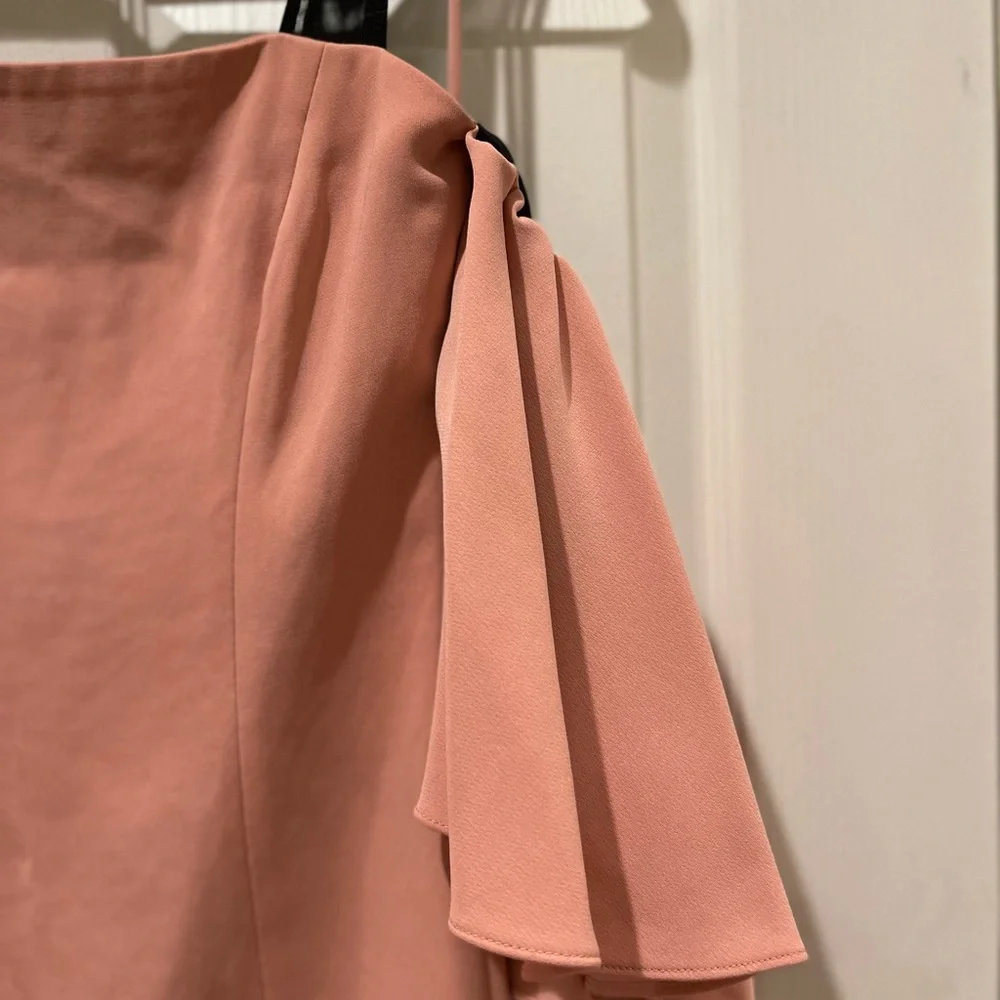BLOGGERS FAVORITE Cinq a Sept Monroe Bloom Dress - Picture 7 of 9